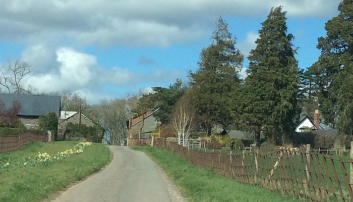 pheasant in foreground, farmhouse gable end visible on the right