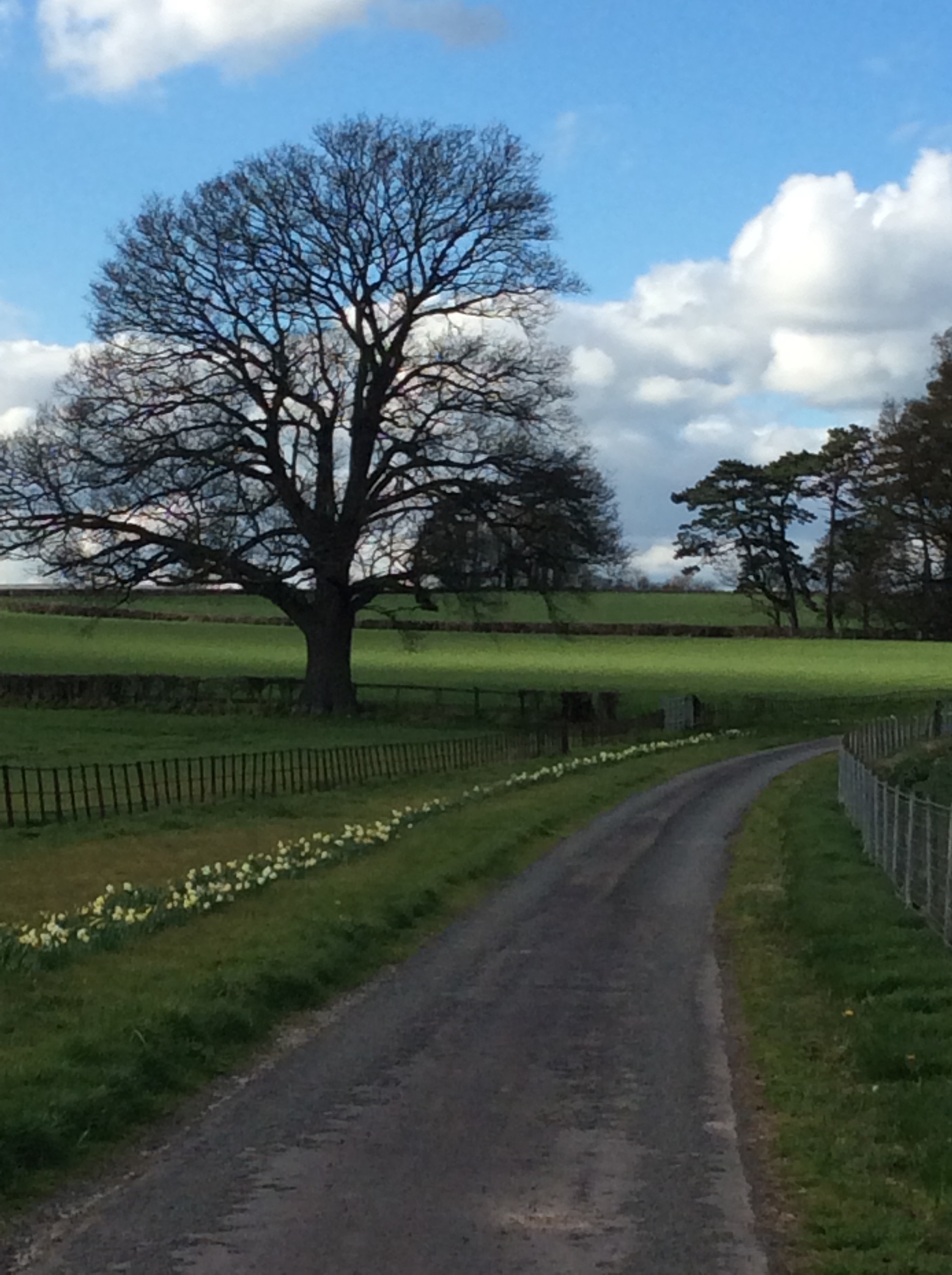 Read more about the article WIRE conference, great inspirational business ladies but I love Herefordshire